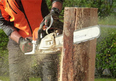 Chainsaw Cutting Wood - Tree Removal in Tugun, QLD 4223